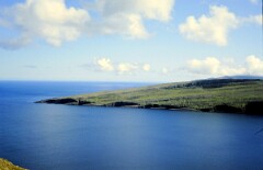 1982_0005065_M266