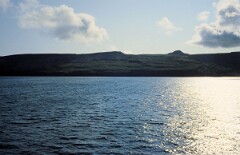 1982_0005072_M273