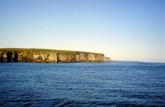 1982_0005074_M275