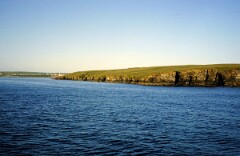 1982_0005075_M276