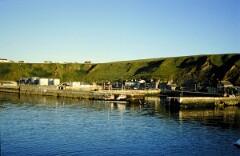 1982_0005078_M279