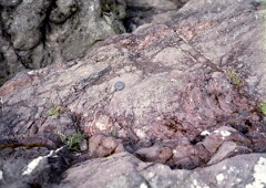 1982_0005099_M298