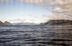 1982_0005105_M304