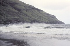 1982_0005137_M336