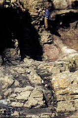 1982_0005146_M345