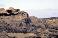 1982_0005147_M346