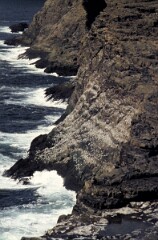 1982_0005165_M364