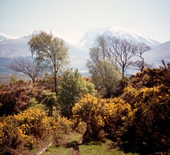 1977_CEH5992_F001
