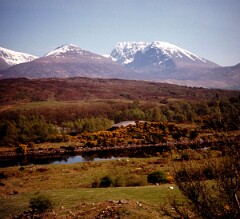 1977_CEH5993_F002
