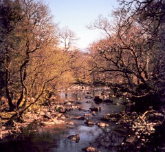 1977_CEH5996_F005