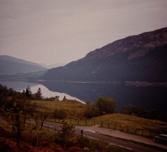 1977_CEH6001_F010