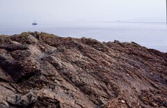 1986_CEH4761_B426