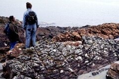 1986_CEH4763_B428