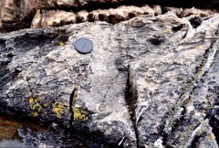 1986_CEH4766_B431
