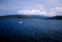 1986_CEH4774_B441