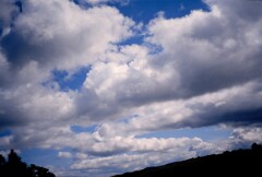 1992_CEH5483_D177
