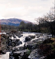 1992_CEH5484_D178