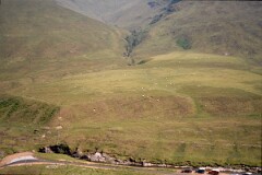 1990_CEH5481_D175