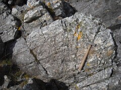 DSCF0008