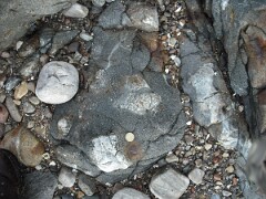 DSCF0015