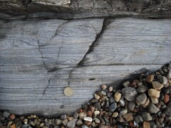 DSCF0017