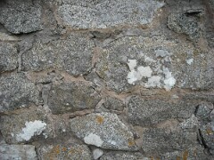 DSCF0018