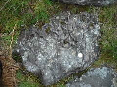 DSCF0034
