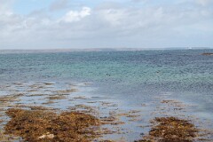 DSC_1939
