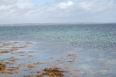 DSC_1941