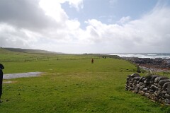 DSC_1953