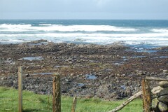 DSC_1954