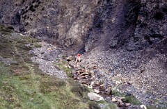 1981_CEH6765_H034