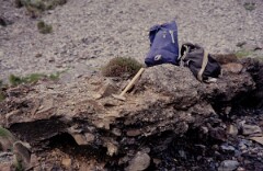 1981_CEH6766_H035