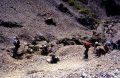 1981_CEH6767_H036