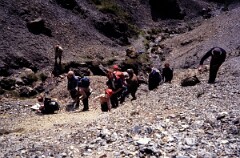 1981_CEH6768_H037