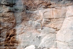 1984_CEH5386_D081