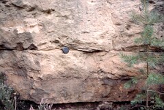 1984_CEH5387_D082