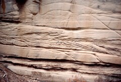 1984_CEH5388_D083 (1)
