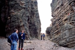 1984_CEH5391_D086