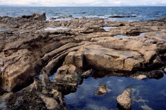 1984_CEH5393_D088