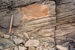 1984_CEH5398_D093