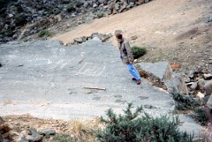 1984_CEH5400_D095
