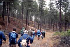 1984_CEH5402_D097