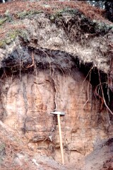 1984_CEH5403_D098