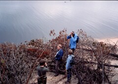 1984_CEH5404_D099