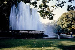 1993_0006843_N500