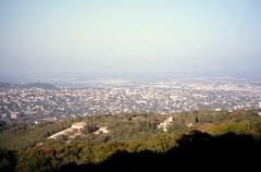 1993_0006845_N502
