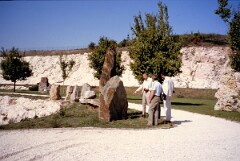 1993_0006856_N513