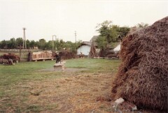 G08_0322