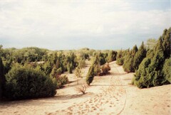 G08_0343